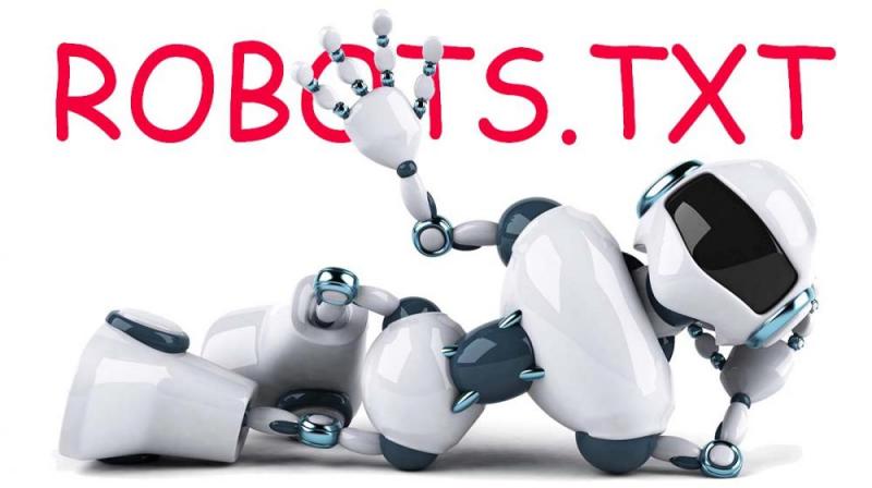 Что такое robots.txt и зачем он нужен в Нарьян-Маре